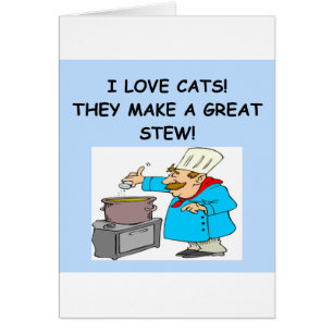 gatos