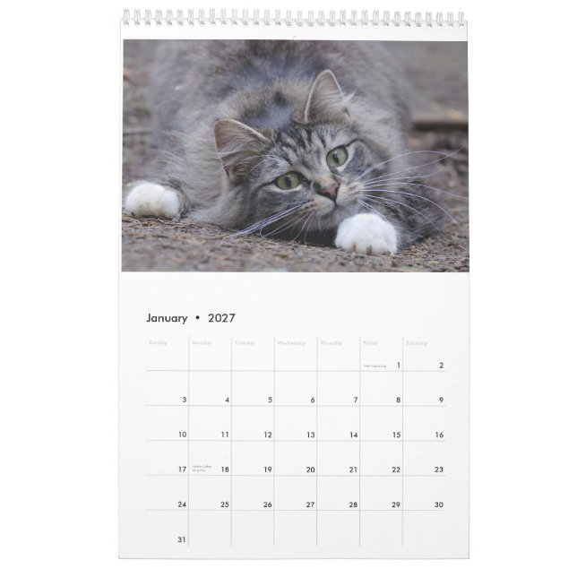 Gatos 2014 - Un calendario para los amantes del (Jan 2027)