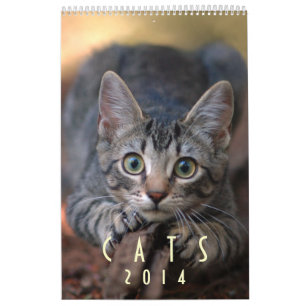 Gatos 2014 - Un calendario para los amantes del