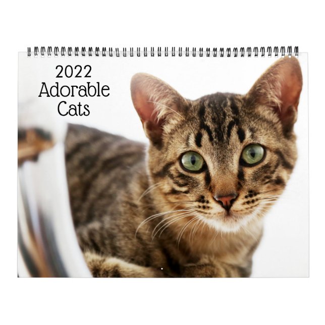 Gatos Adorables Calendario 2022 (Tapa)
