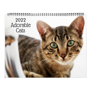 Gatos Adorables Calendario 2022