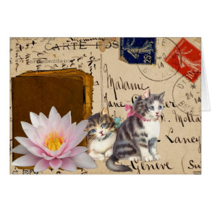 Gatos antiguos y libro