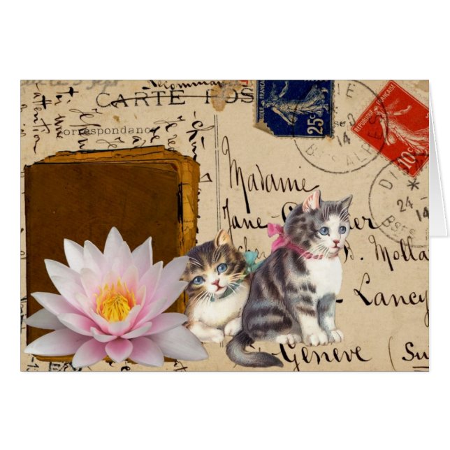 Gatos antiguos y libro (Anverso (Horizontal))