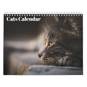 Gatos Bengalí Calendario 2027