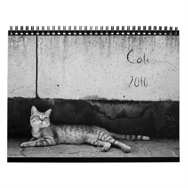Gatos - calendario 2016 (Tapa)