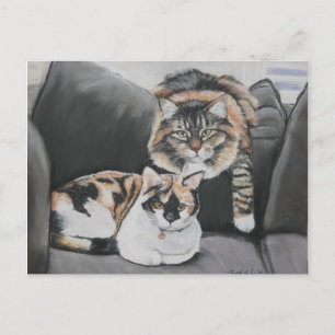 Gatos colgando postal de arte