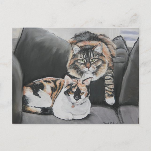 Gatos colgando postal de arte (Anverso)