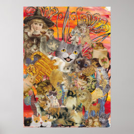 Gatos con mucha impresión