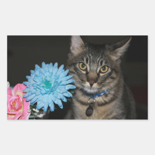 Gatos con Pegatinas de flores