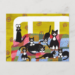 Gatos con postal en cama