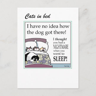 Gatos con tarjeta de cama