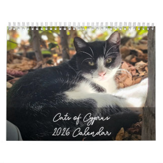 Gatos de Chipre 2026 B por Calendario PaphosLife