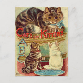Gatos de cosecha lindo postal animal