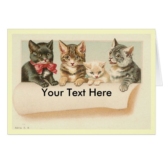Gatos de época, tu texto aquí (Anverso (Horizontal))