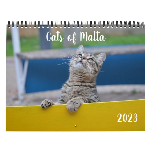 Gatos de Malta - Calendario 2023 (Tapa)