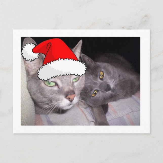 Gatos de Navidad (Anverso)