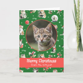 Gatos de Navidad en acuarela Foto personalizada