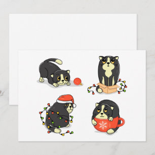Gatos de Navidad Lindos y Divertidos