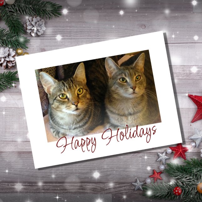 Gatos de Navidad Mascotas Lindas Tipografía de Esc (Subido por el creador)