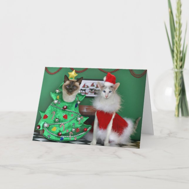 Gatos del navidad (Anverso)