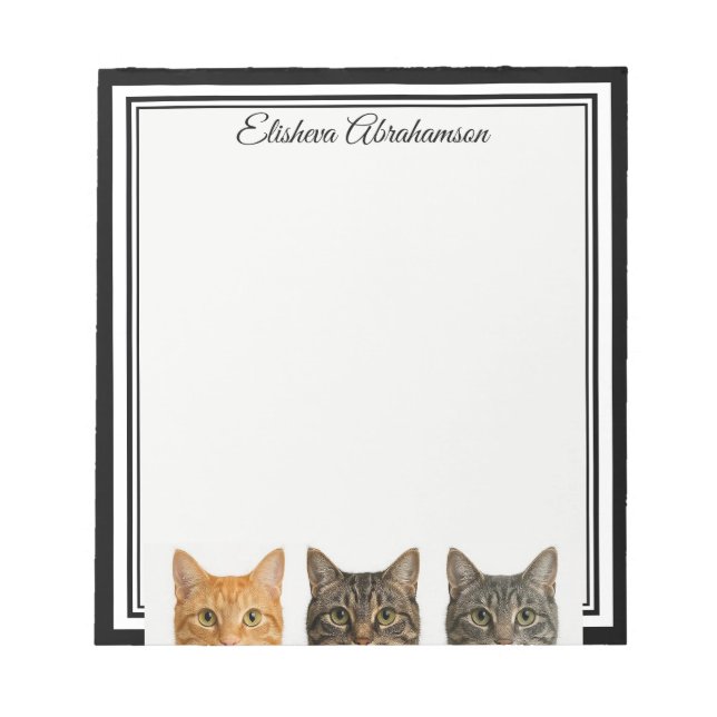 Gatos Divertidos Mirando Bloc de Notas (Frente)