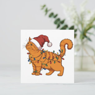 Gatos Divertidos Navidad Naranja Gato Mamá Amante 