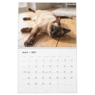 Gatos Dormilones Acogedores | Calendario de Fotos