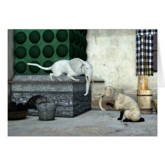 Gatos elefantes adorables