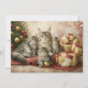 Gatos Elegantes Gatitos Navidad