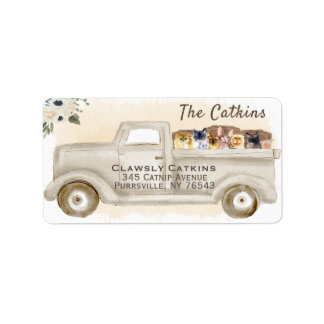 Gatos en camión con cajas, etiqueta de dirección d