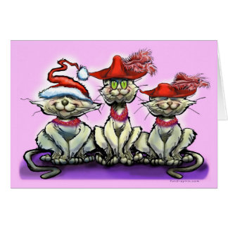 Gatos en Gorras divertidos