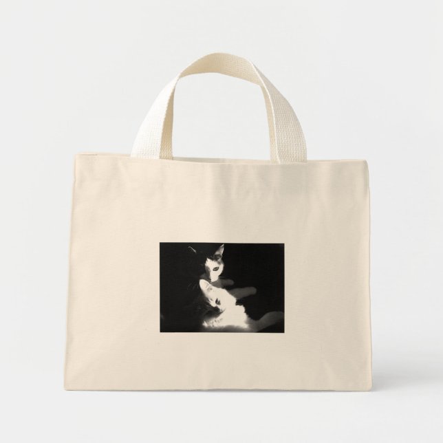 Gatos en la bolsa (Frente)