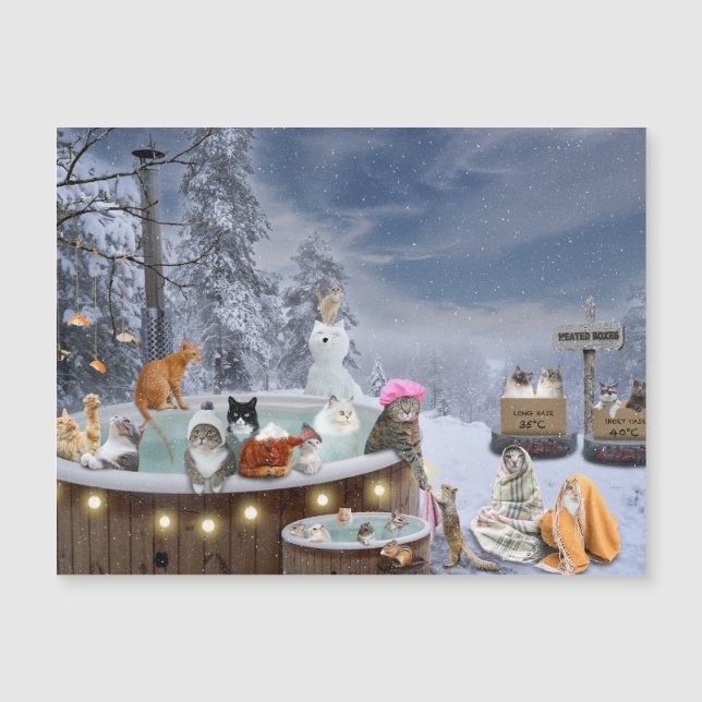 Gatos en la escena invernal de aguas termales (Anverso)
