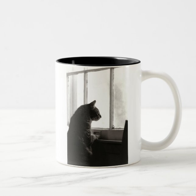 Gatos en la taza de la ventana (Derecha)