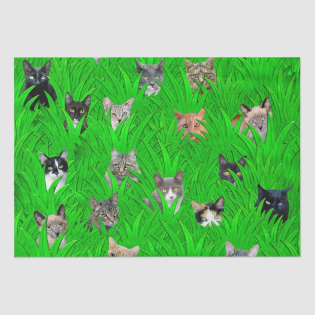 Gatos en papel seda de la hierba (Anverso)