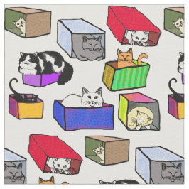 Gatos en tela colorida de las cajas