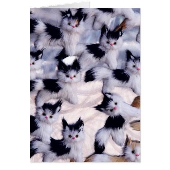 gatos espeluznantes (Frente)