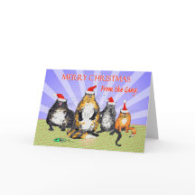 Gatos, Felices Navidad de la cuadrilla, humor