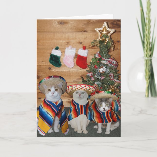 Gatos/gatitos divertidos Feliz Navidad (Anverso)