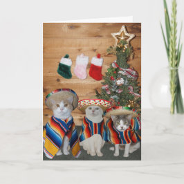 Gatos/gatitos divertidos Feliz Navidad