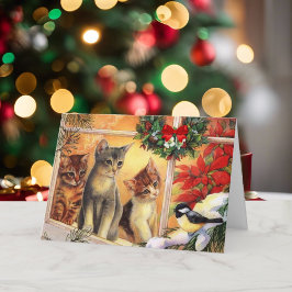 Gatos Gatos Gatitos Pájaro Viendo Feliz Navidad