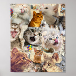 Gatos gatos gatos... Póster de collage de gatos