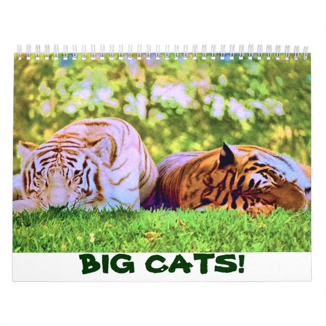 ¡GATOS GRANDES! Calendario (Tapa)