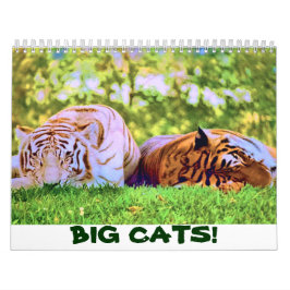 ¡GATOS GRANDES! Calendario