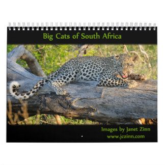 Gatos grandes del calendario de Suráfrica