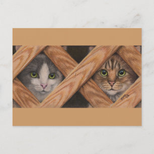 Gatos Gray Tabby detrás de la postal de la cerca d