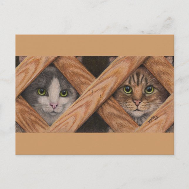 Gatos Gray Tabby detrás de la postal de la cerca d (Anverso)