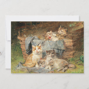 Gatos juguetones   Julius Adam el Joven