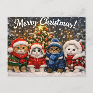 Gatos Lindos de Navidad con Jerseys de Invierno