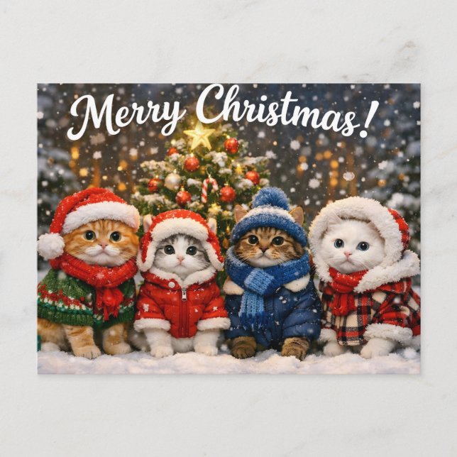 Gatos Lindos de Navidad con Jerseys de Invierno (Anverso)